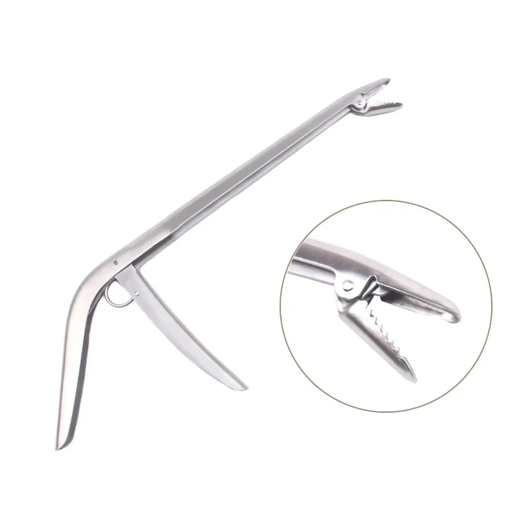 SANLIKE Stainless Steel Fishin - Fishing Hook Stainless Steel review and price
