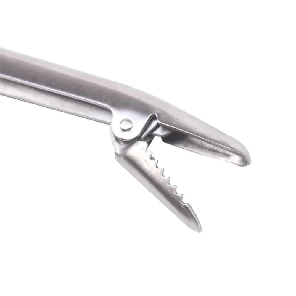 SANLIKE Stainless Steel Fishin - Fishing Hook Stainless Steel review and price